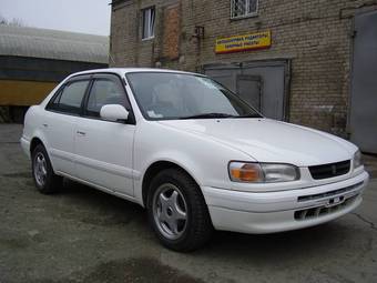 1995 Toyota Corolla