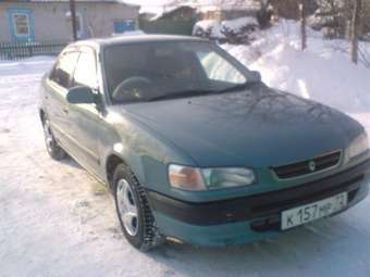 Corolla