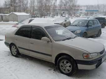 1995 Corolla