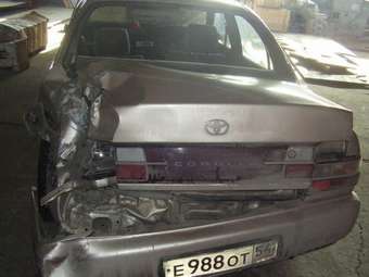 1995 Toyota Corolla