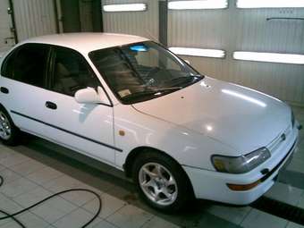 1995 Toyota Corolla