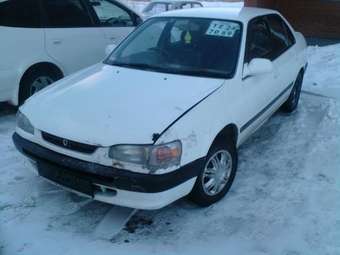 1995 Toyota Corolla