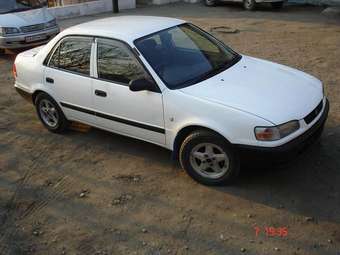 1995 Toyota Corolla