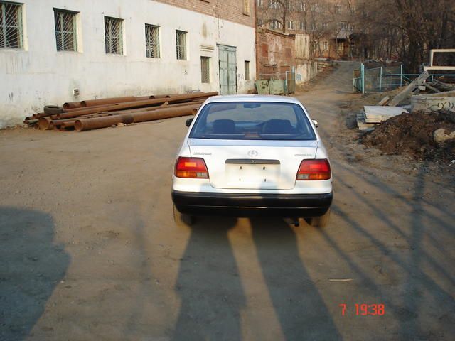 1995 Toyota Corolla
