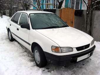 1995 Corolla