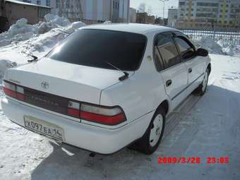 1995 Toyota Corolla