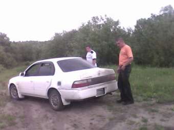 1995 Corolla