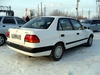 1995 Corolla