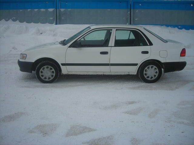 1995 Toyota Corolla