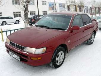 1995 Toyota Corolla