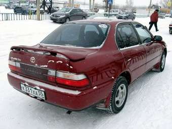 1995 Corolla