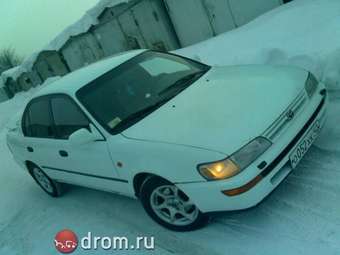 Corolla