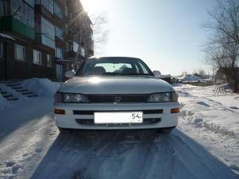 1995 Corolla