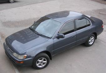 1995 Toyota Corolla