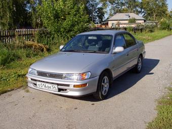 1995 Toyota Corolla