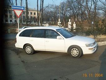 1995 Toyota Corolla