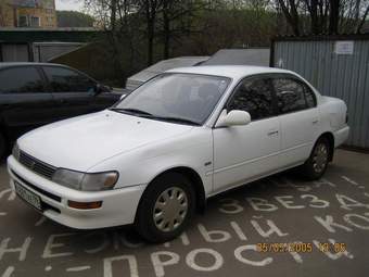 1995 Toyota Corolla Pictures