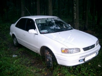 1995 Toyota Corolla For Sale