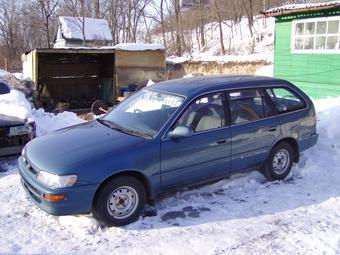 1996 Toyota Corolla