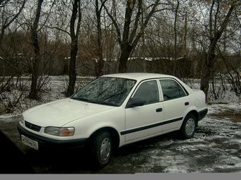 1996 Toyota Corolla