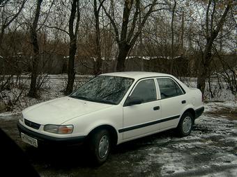 1996 Toyota Corolla