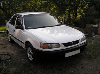 1996 Toyota Corolla