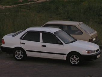 1996 Toyota Corolla