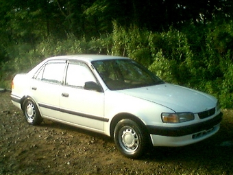 1996 Toyota Corolla