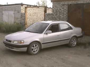 1996 Toyota Corolla