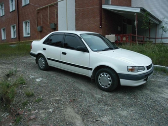 1996 Toyota Corolla