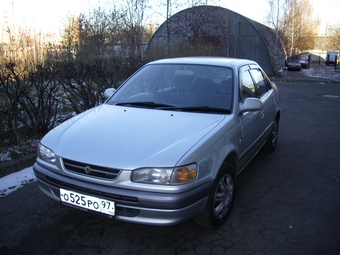 1996 Toyota Corolla