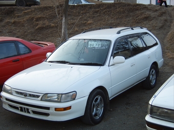 1996 Toyota Corolla