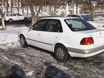 1996 Corolla