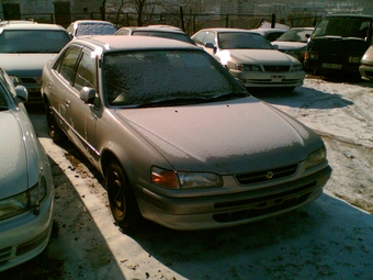 1996 Toyota Corolla