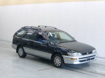 1996 Toyota Corolla