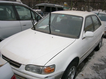 1996 Toyota Corolla