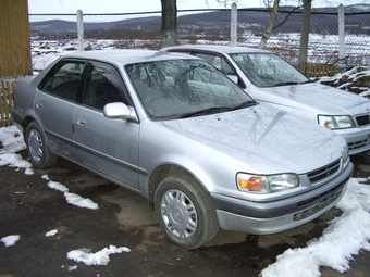 1996 Toyota Corolla