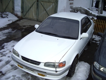 1996 Toyota Corolla