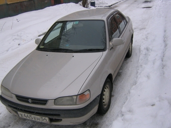 1996 Toyota Corolla