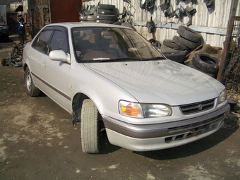 1996 Toyota Corolla