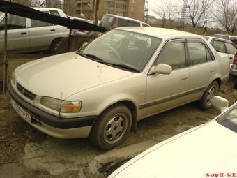 1996 Toyota Corolla