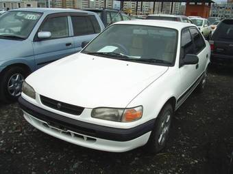 1996 Toyota Corolla