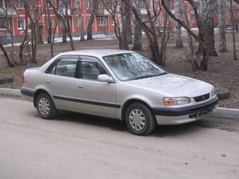 1996 Toyota Corolla