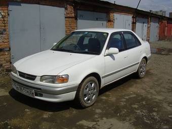 Corolla