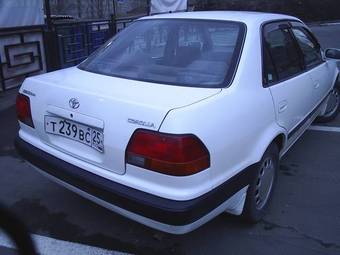 Corolla