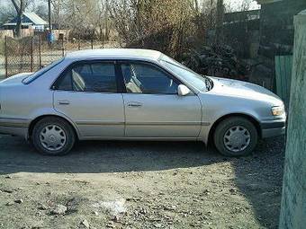 1996 Toyota Corolla