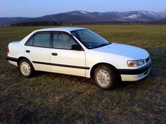 1996 Toyota Corolla