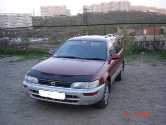 1996 Toyota Corolla