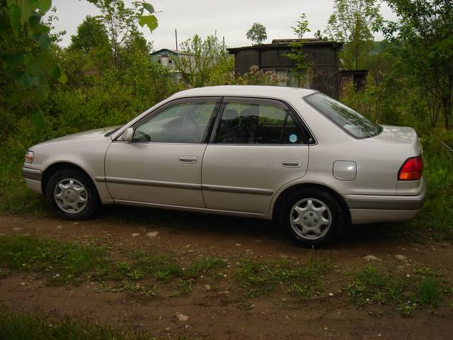 1996 Toyota Corolla