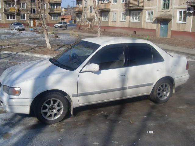 1996 Toyota Corolla